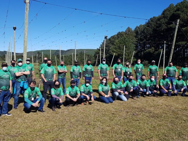 Produtores rurais recebem 10 mil mudas de lúpulo em Santa Catarina - Foto: Reprodução/Epagri